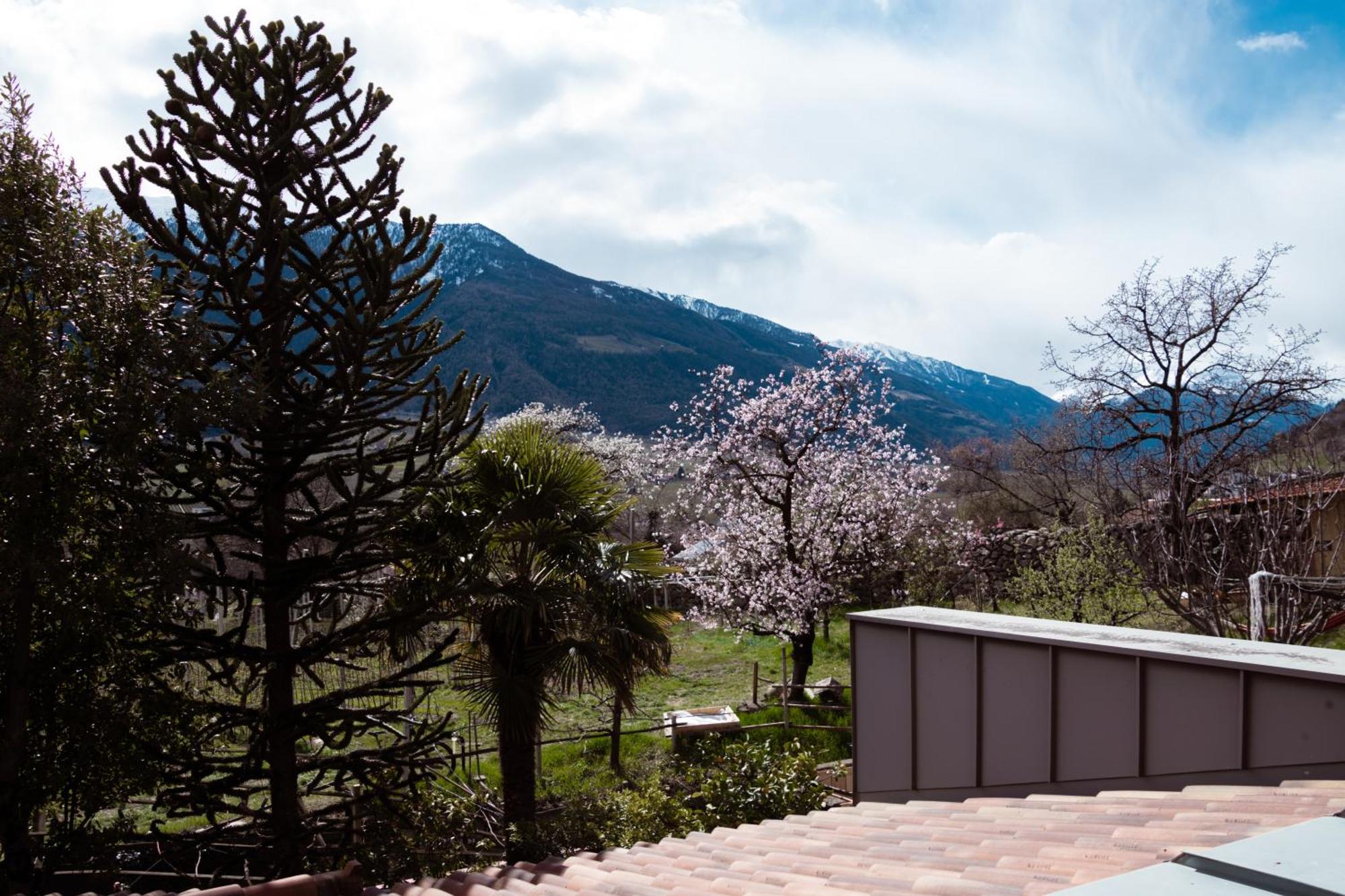 Garni Unterwegguetl Acomodação com café da manhã Naturns Exterior foto